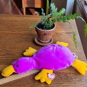 Jumbo Patti The Platypus TY Beanie Baby